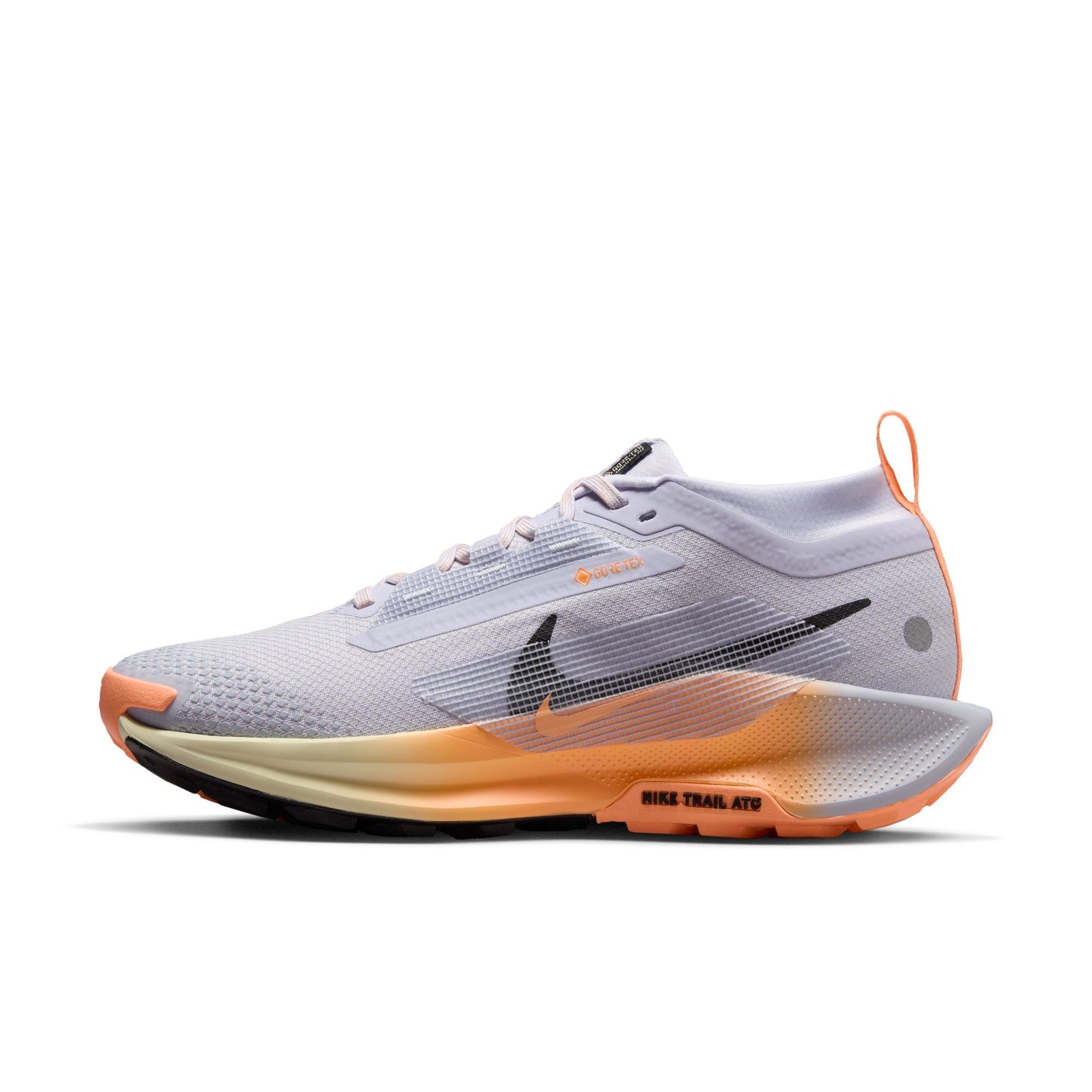 Women's Nike Pegasus Trail 5 GORE-TEX