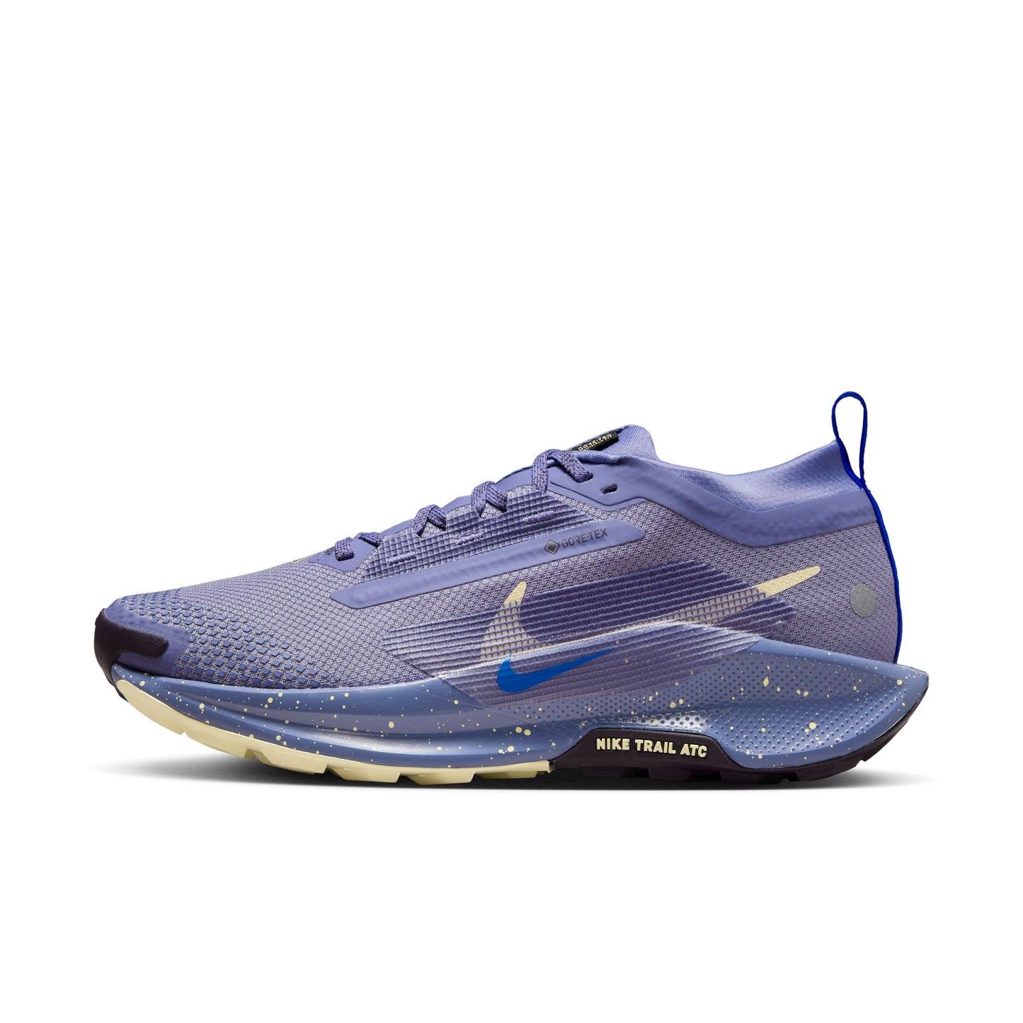 Women's Nike Pegasus Trail 5 GORE-TEX