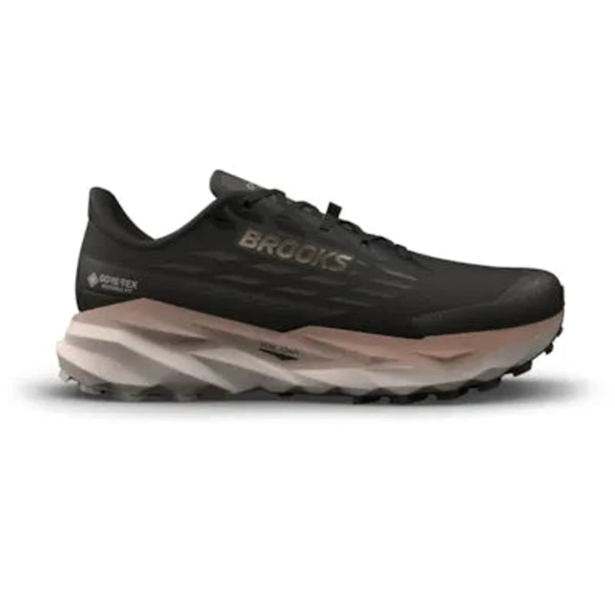 Men's Brooks Cascadia 19 GTX