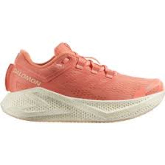 Women's Salomon Aero Glide 3 GRVL