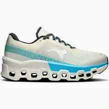 Women's On Cloudmonster 2