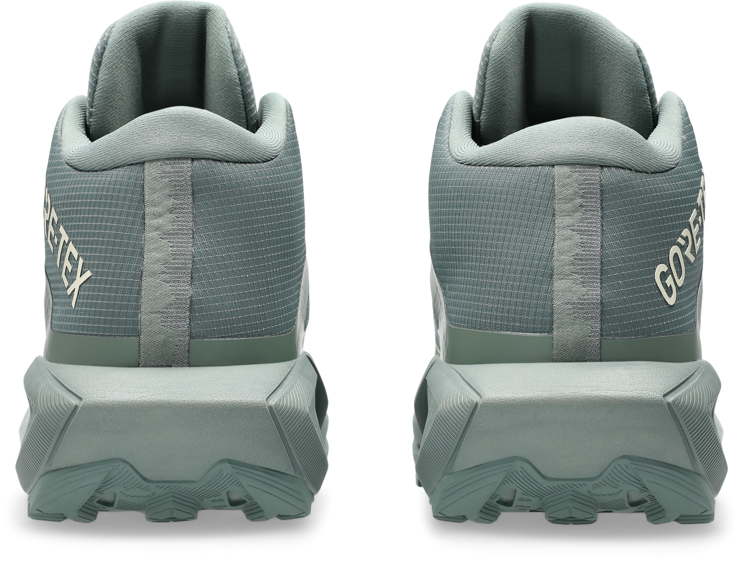 Women's ASICS GEL-Trabuco MT GTX