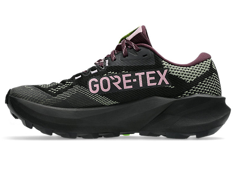 Women's Trabuco 14 GTX