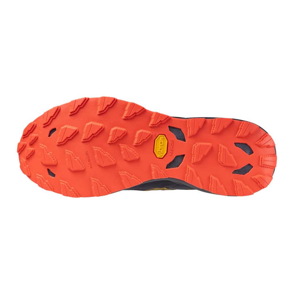 Mizuno Men's WAVE DAICHI 9