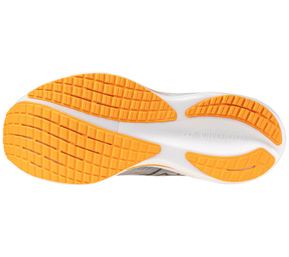 Men's Mizuno WAVE RIDER 29