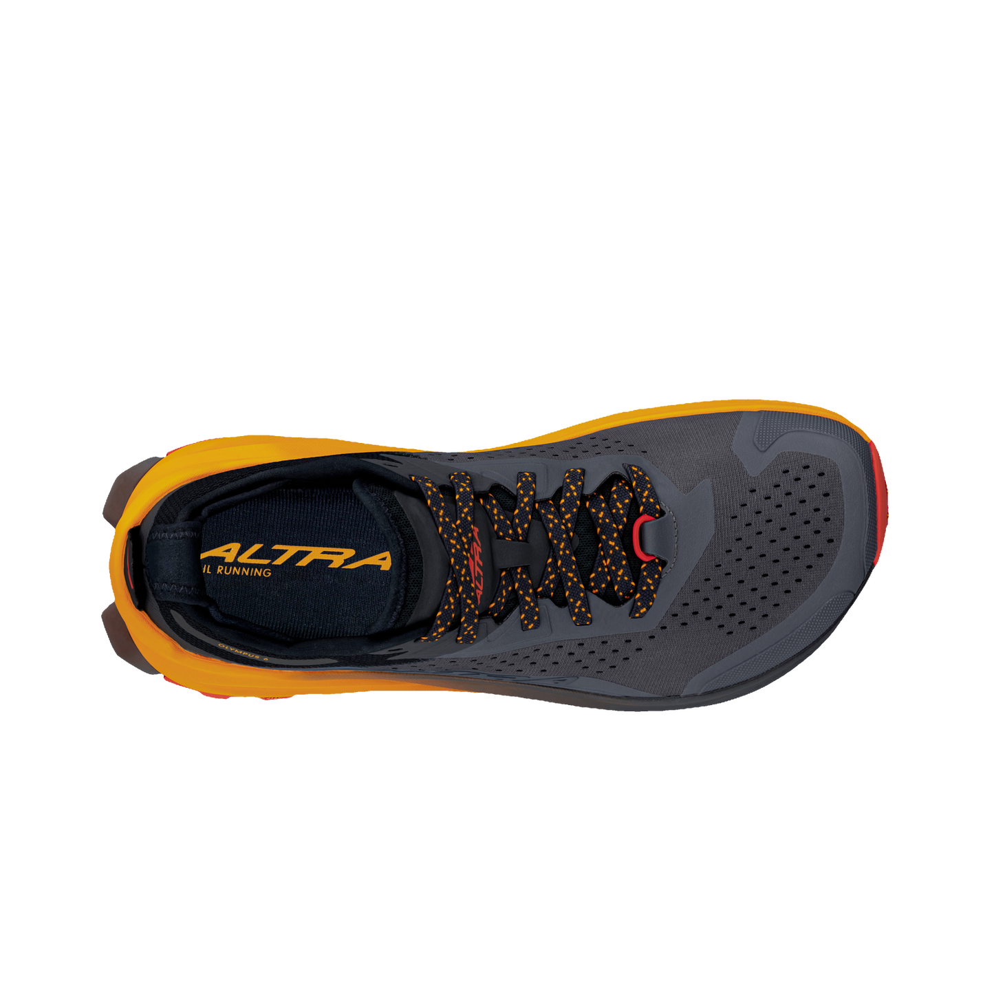 Men's Altra Olympus 6