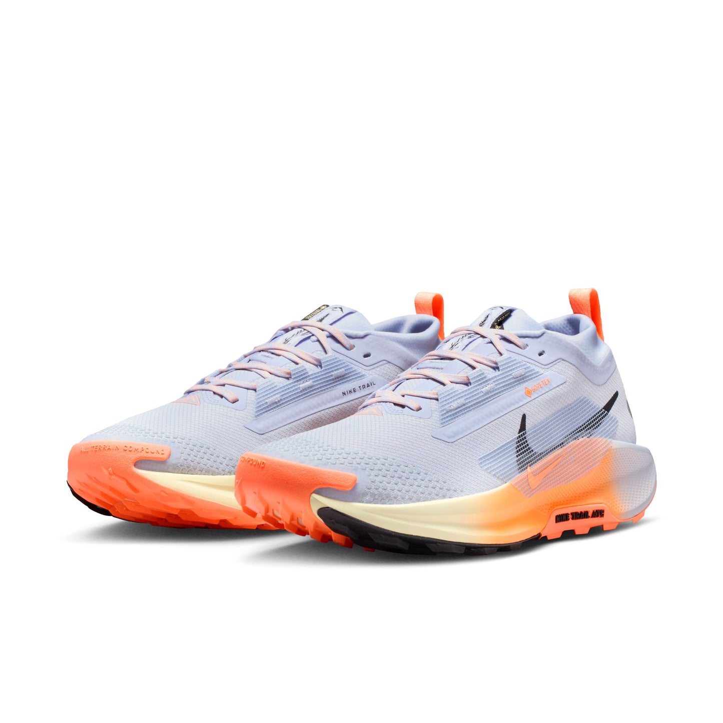 Men's Nike Pegasus Trail 5 GORE-TEX