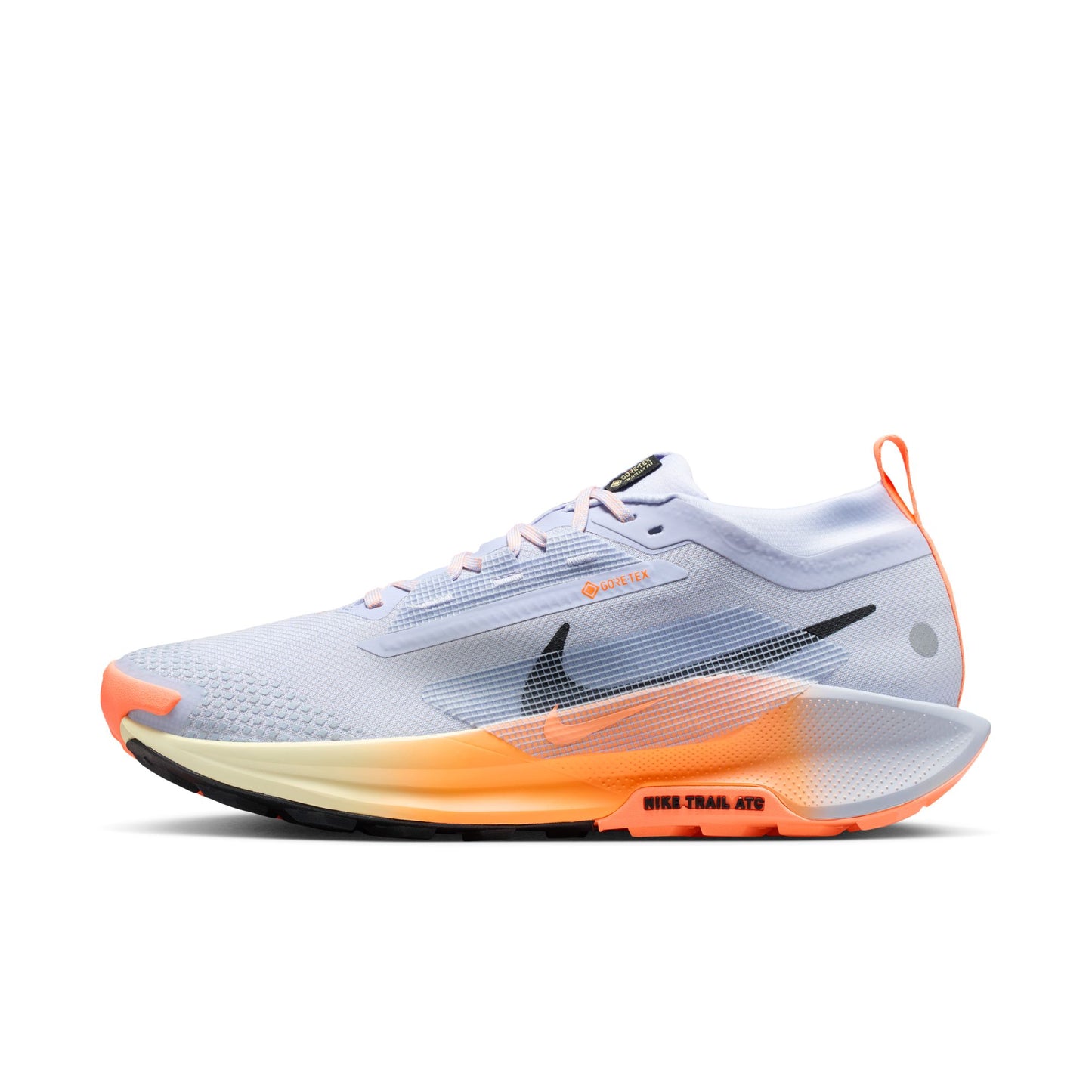 Men's Nike Pegasus Trail 5 GORE-TEX