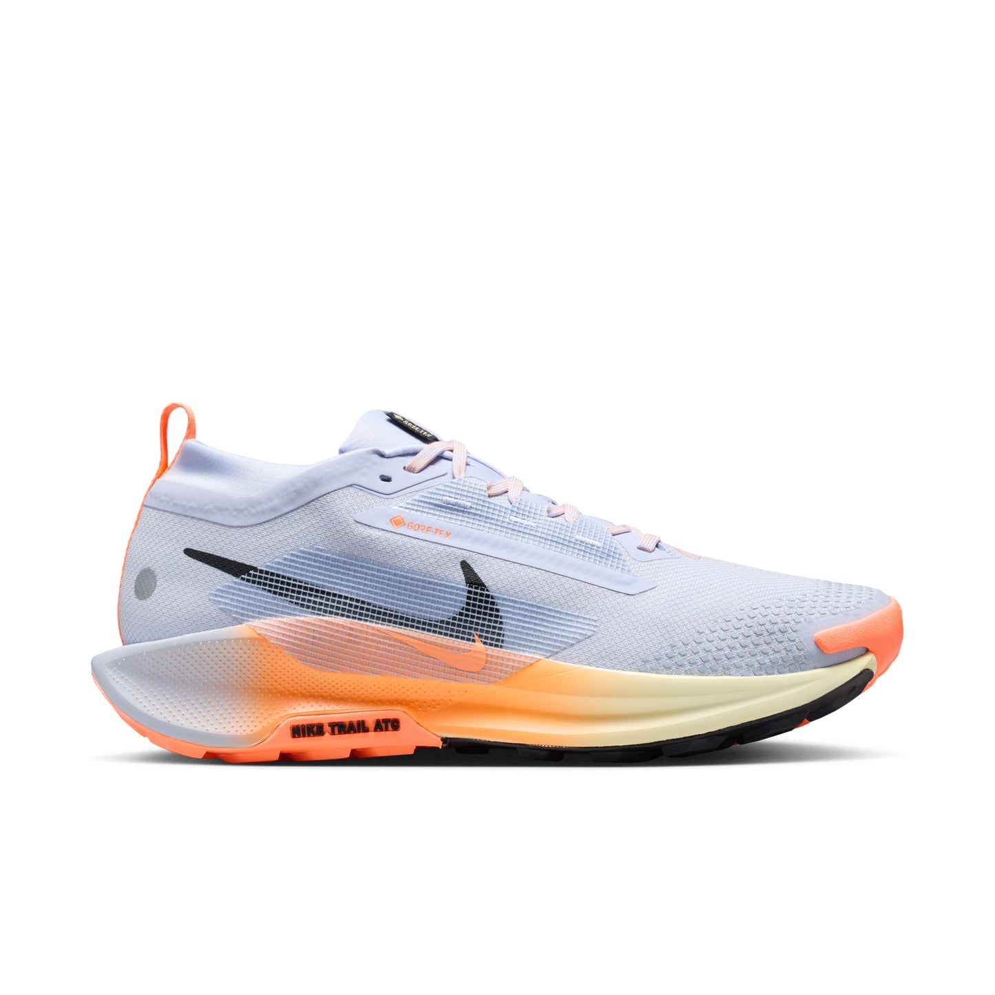Men's Nike Pegasus Trail 5 GORE-TEX