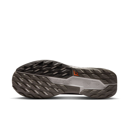 Men's Nike Pegasus Trail 5 GORE-TEX