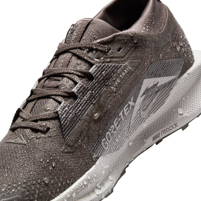 Men's Nike Pegasus Trail 5 GORE-TEX