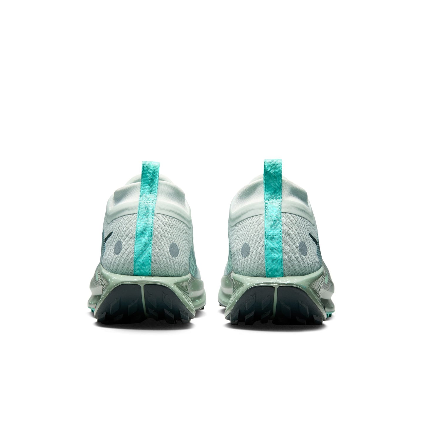 Men's Nike Pegasus Trail 5 GORE-TEX