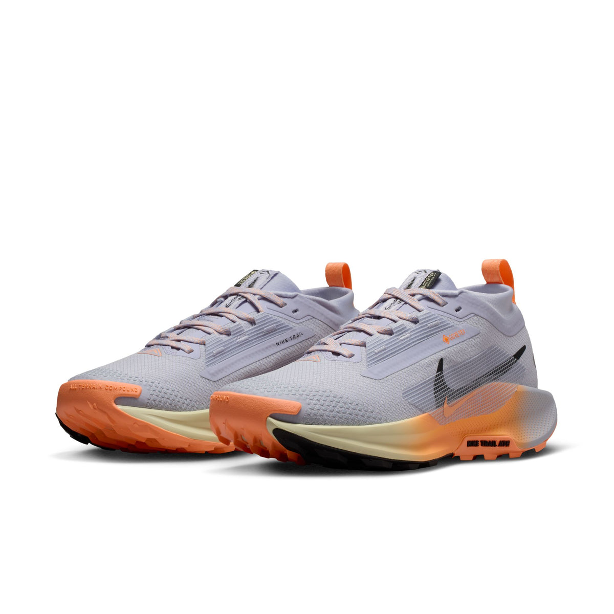 Women's Nike Pegasus Trail 5 GORE-TEX