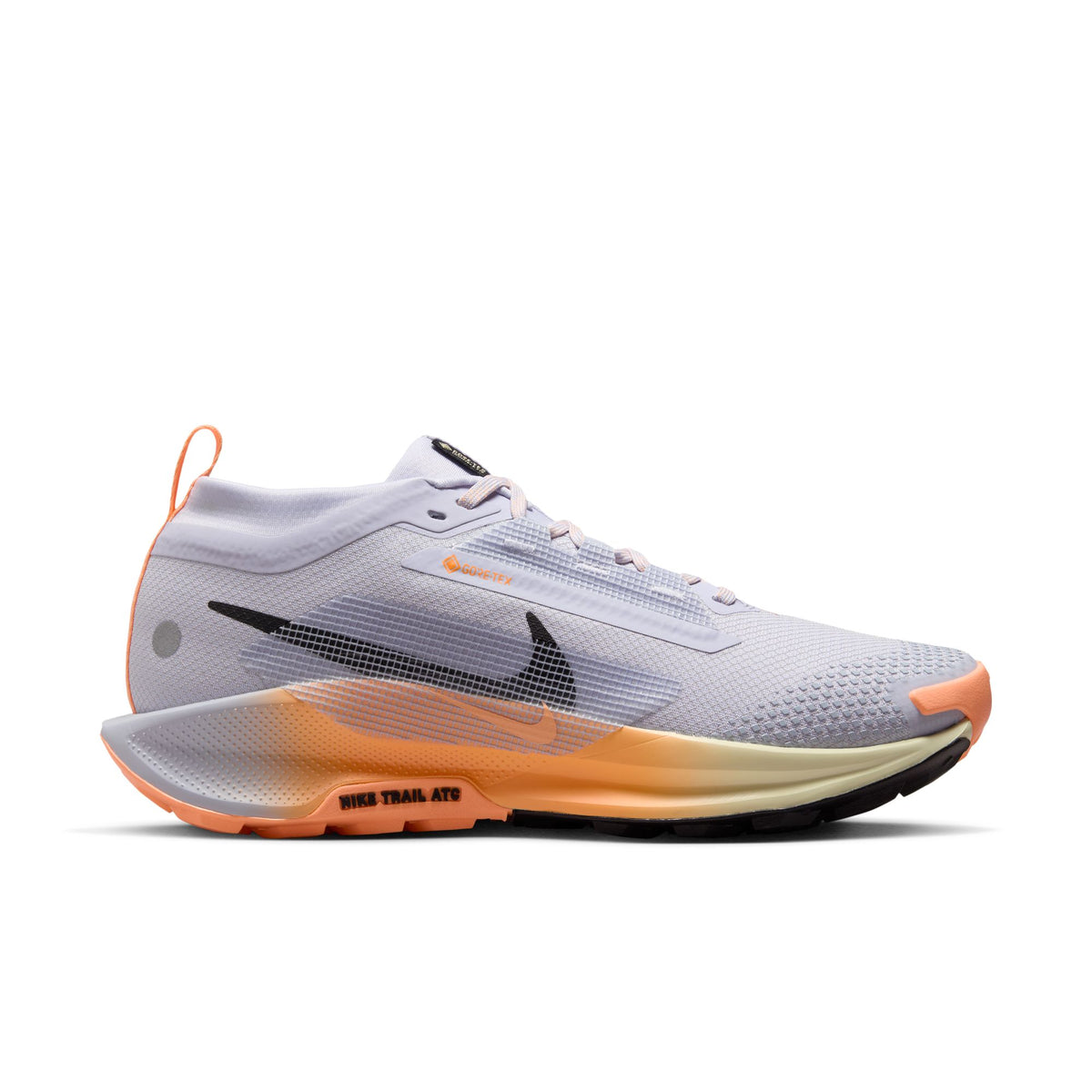 Women's Nike Pegasus Trail 5 GORE-TEX