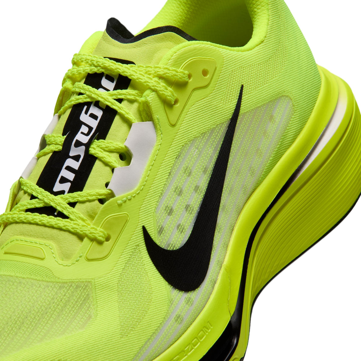 Men's Pegasus Plus 2