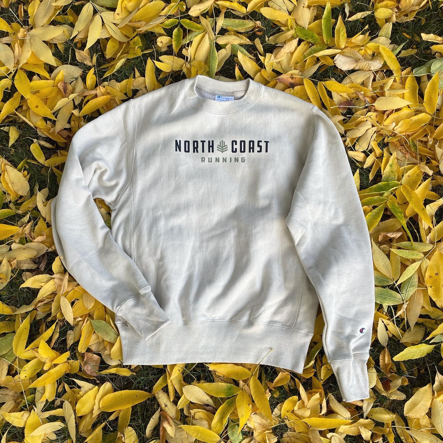 NCR Crewneck- Superior Sand