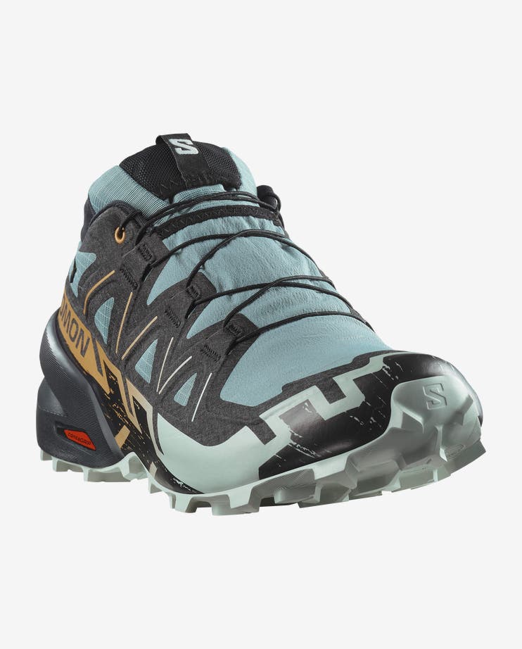Men's Salomon SPEEDCROSS 6 GTX