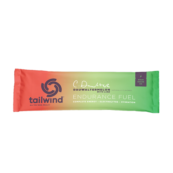 Tailwind Endurance Fuel - Single