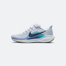 Men's Nike Pegasus 41