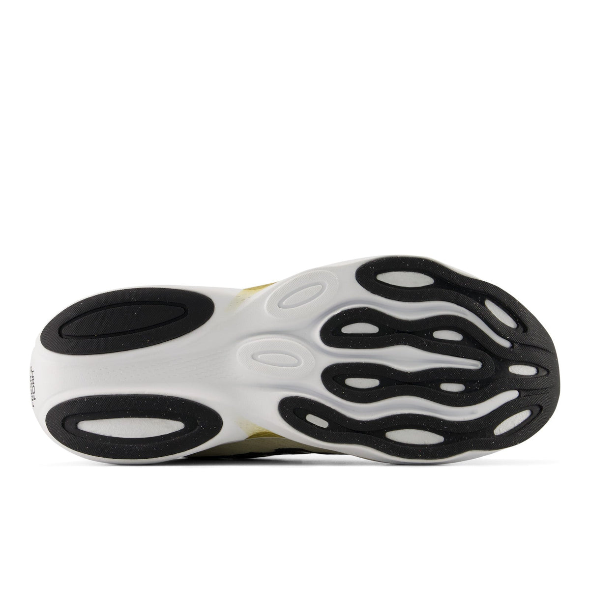 Women's Ellipse v1